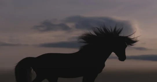 Matt Proxy Trojan Horse - Matt Proxy's 'Trojan Horse' Album Promises Guest Spots, Existential Dread