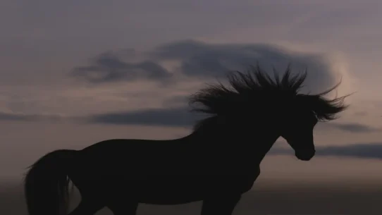 Matt Proxy Trojan Horse - Matt Proxy's 'Trojan Horse' Album Promises Guest Spots, Existential Dread