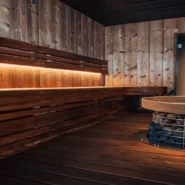 Finland's PM election loss - Finland's PM Election Loss Attributed To Inadequate Sauna Ventilation