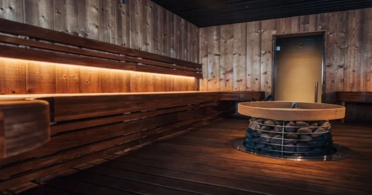 Finland's PM election loss - Finland's PM Election Loss Attributed To Inadequate Sauna Ventilation