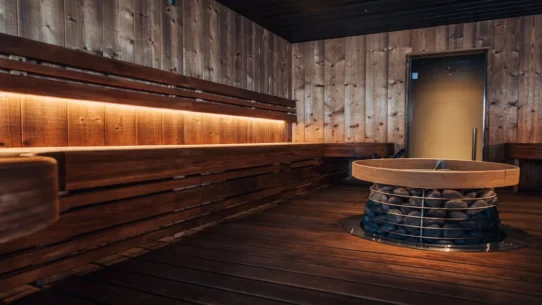 Finland's PM election loss - Finland's PM Election Loss Attributed To Inadequate Sauna Ventilation