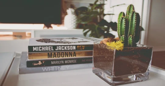 New Madonna Photo Book - New Madonna Photo Book So Exhaustive It Includes Photos Yet To Be Taken