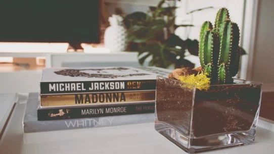 New Madonna Photo Book - New Madonna Photo Book So Exhaustive It Includes Photos Yet To Be Taken