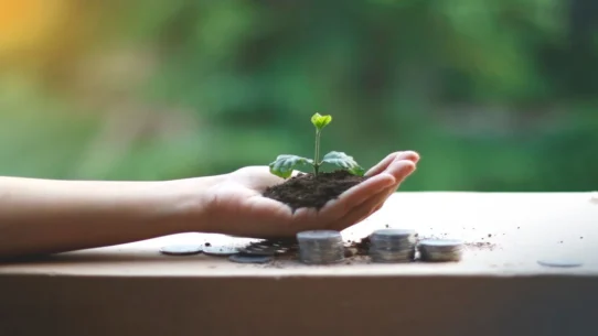 Presidential Wealth Growth - Presidential Wealth Growth Sparks New Economic Theory